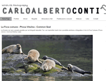Tablet Screenshot of carloalbertoconti.it